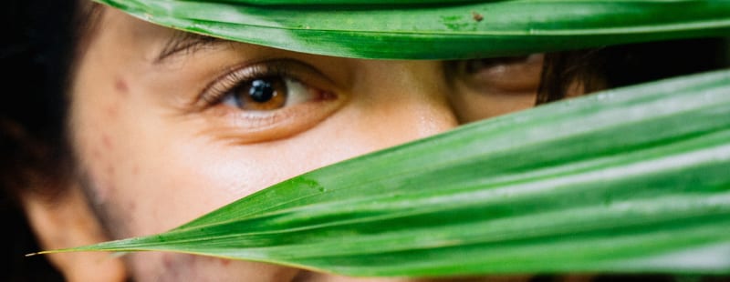 A woman's eye framed by green leaves