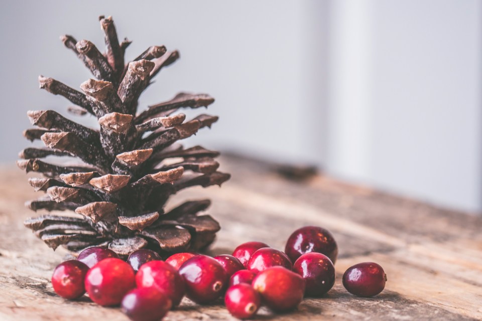 A pine cone and red cranberries on a wooden surface