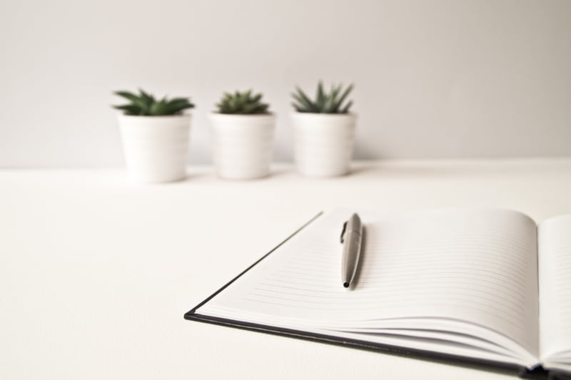 A notebook and pen on a pale desk with three small potted plants