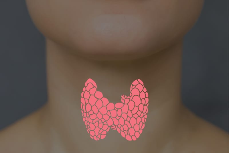 Illustration of the thyroid gland over a person's neck