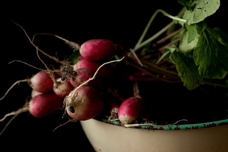 Fresh radishes with leaves in a green enamel bowl